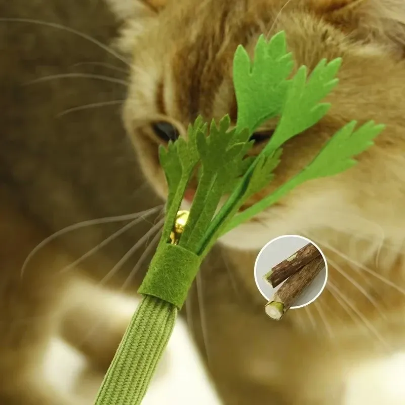 Jouet à mâcher interactif pour chat à base d'herbe à chat