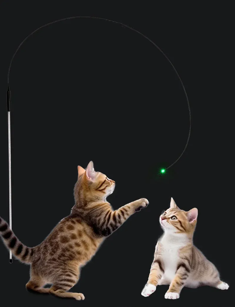 Baguette interactive LED pour chat, finition soignée