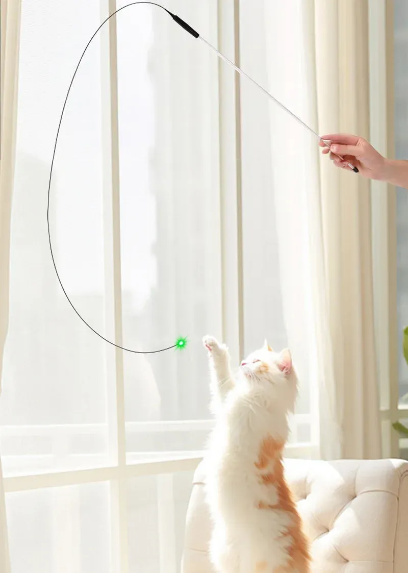 Baguette interactive LED pour chat, prise en main
