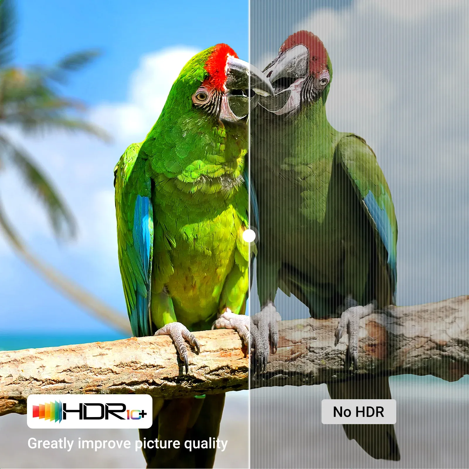 UGREEN Câble HDMI compatible TV et Xiaomi Box, répartiteur et commutateur, 3D, HDCP, 8K 60Hz 3