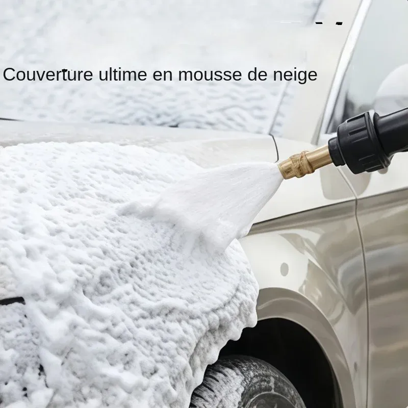 Vue détaillée du pulvérisateur portatif