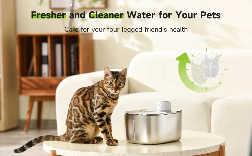 Filtre de fontaine d'eau pour chat APETDOLA