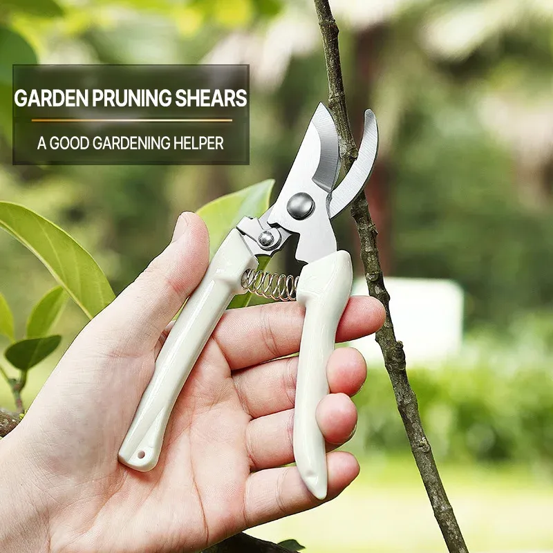 Sécateur professionnel de jardinage, cisaille de verger, outil de taille manuel pour bonsaï 2