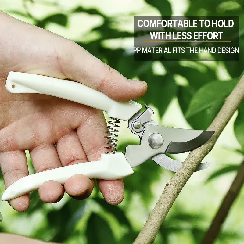 Sécateur professionnel de jardinage, cisaille de verger, outil de taille manuel pour bonsaï 3