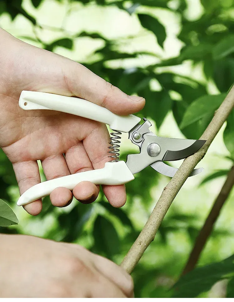 Ciseaux de jardinage, finition finale