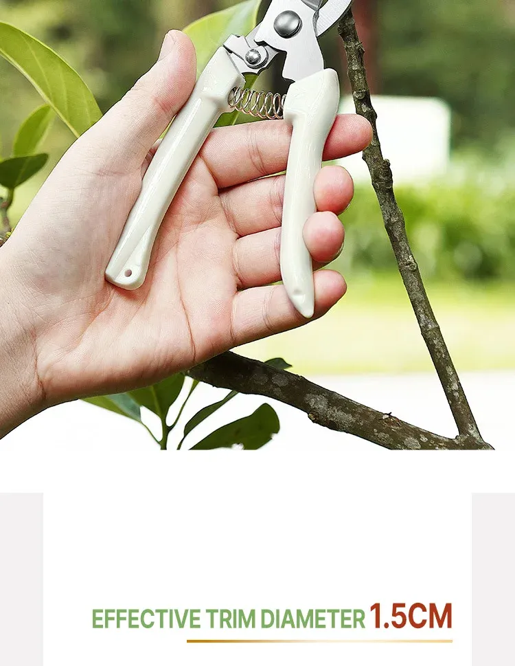 Ciseaux de jardinage, vue de profil