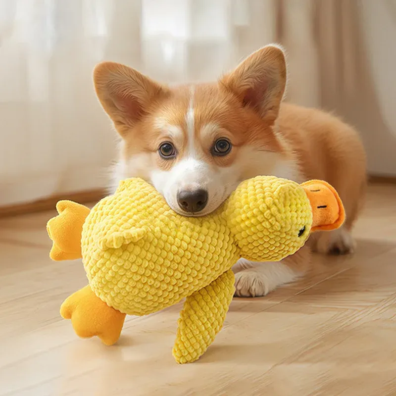 Jouet en peluche pour animaux
