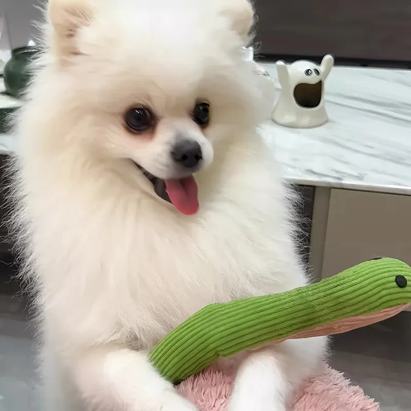 Jouet interactif à frapper en forme de serpent pour chien et chaton d'intérieur, 16,5 pouces 5