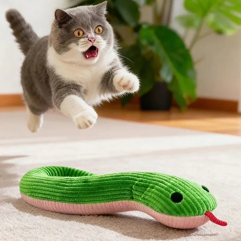 Jouet interactif serpent pour chat, mouvement