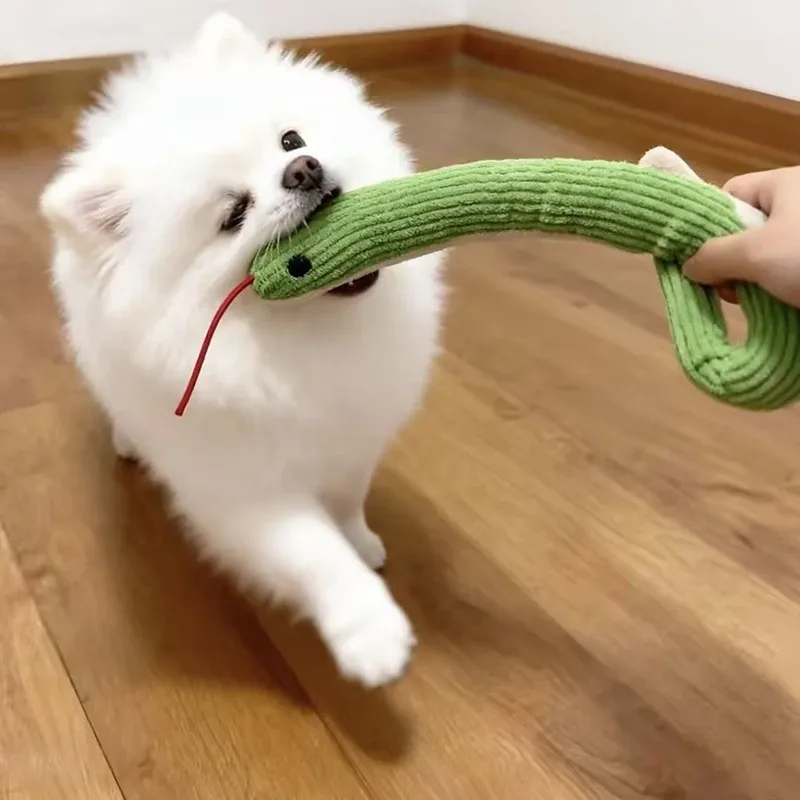 Jouet interactif serpent pour chat, confort de jeu