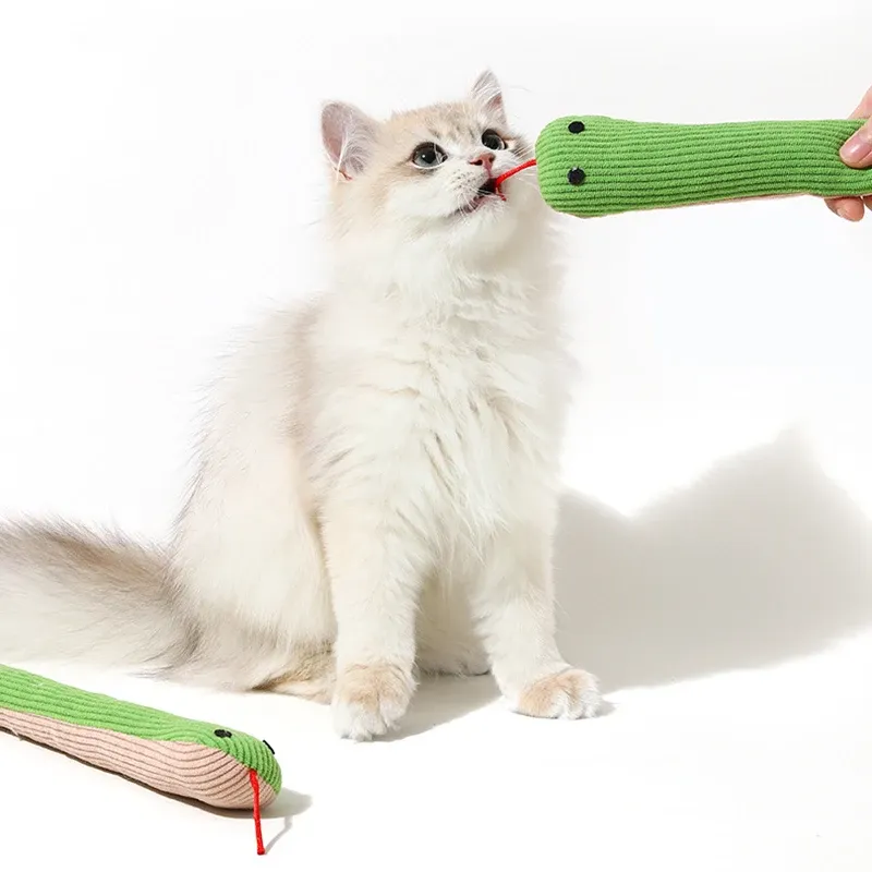 Jouet interactif serpent pour chat, lifestyle