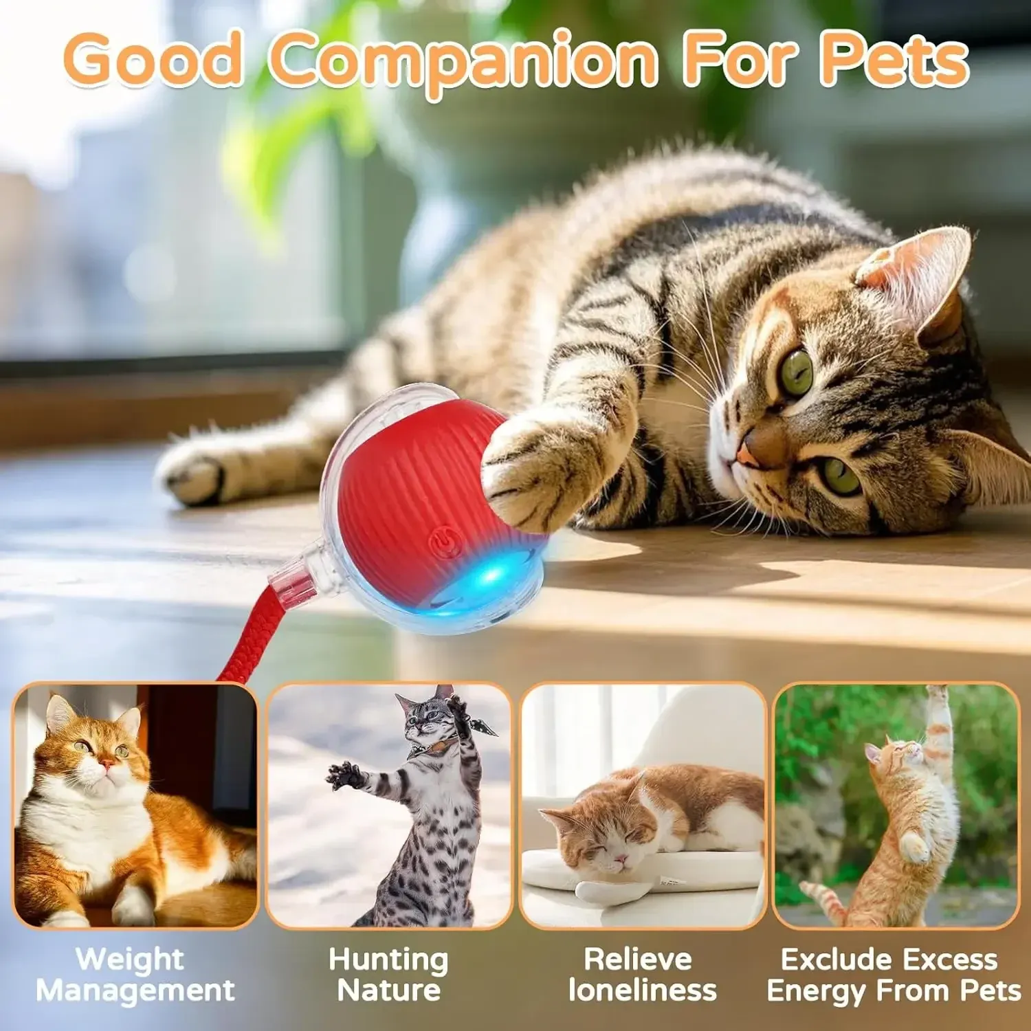 Jouet interactif pour chat iLMH, balle roulante automatique rechargeable avec fausse queue, jouet électrique intelligent imitant une souris (lot de 1 ou 2) 3