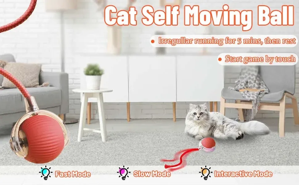 Détail du jouet interactif pour chat