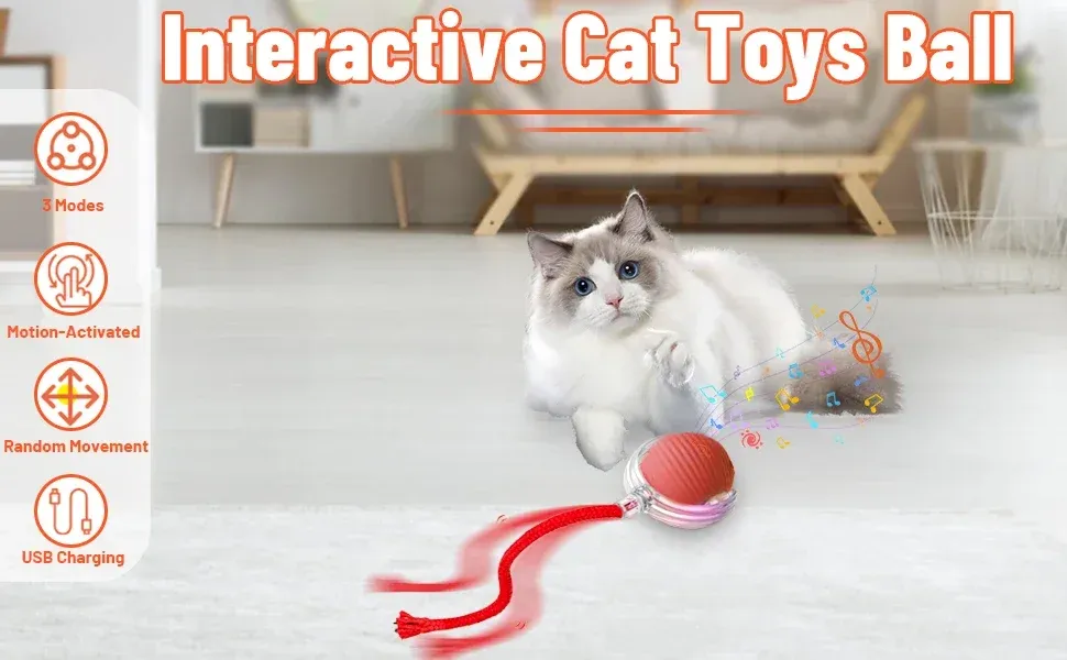 Jouet interactif pour chat en situation de jeu