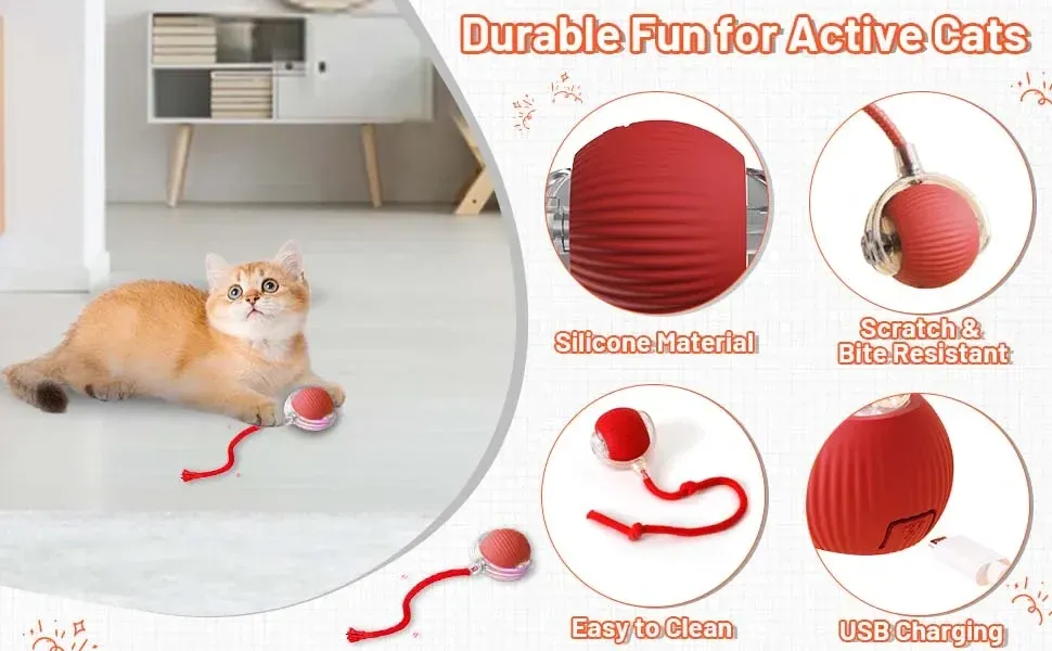 Jouet roulant pour chat, autre angle