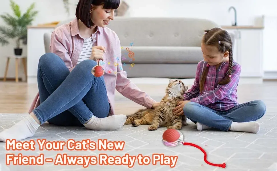 Jouet interactif pour chat, vue complémentaire