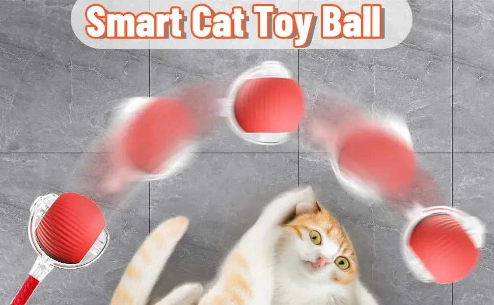 Jouet interactif pour chat en mouvement