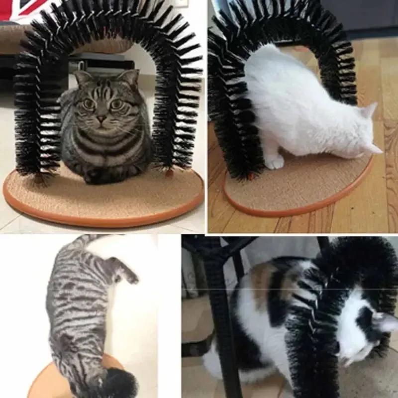 Jouet pour chat auto-toiletteur en arc avec brosse de massage à friction et tampon à gratter, jouet interactif pour félins 6