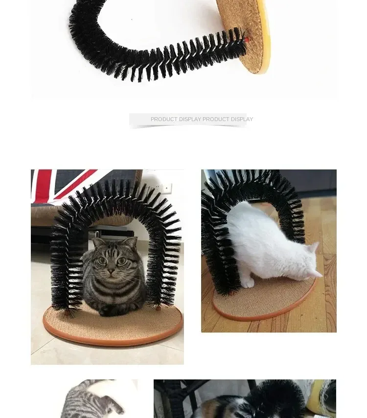 Chat jouant et se détendant avec le jouet