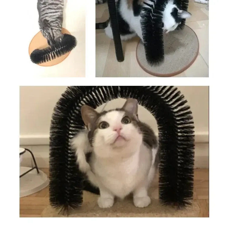 Jouet pour chat pour un toilettage agréable