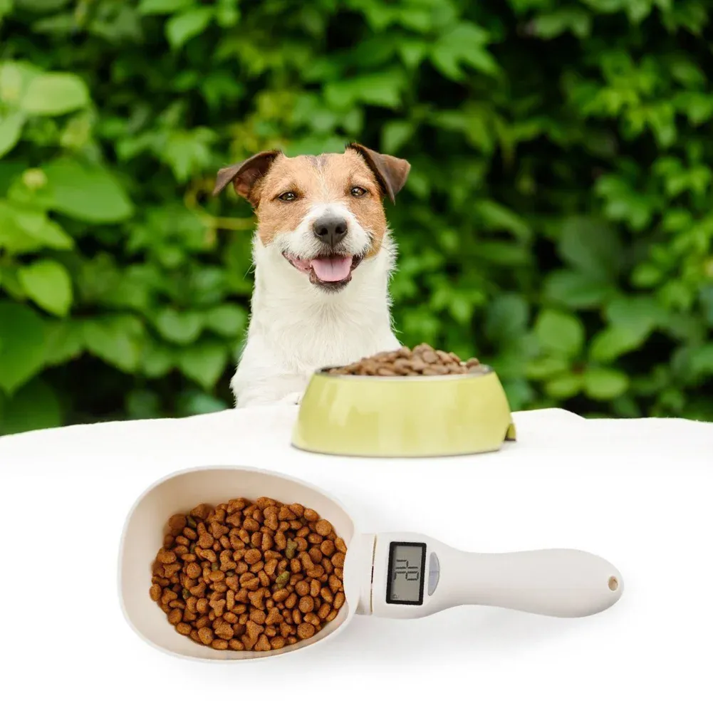 Balance alimentaire électronique pour animaux de compagnie avec écran LCD