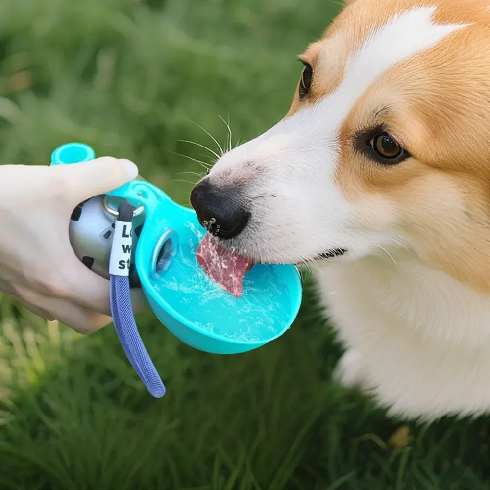 Gourde pour chien avec bol en silicone amovible, acier inoxydable 285 ml, anti-fuite, idéale pour les promenades en plein air 2