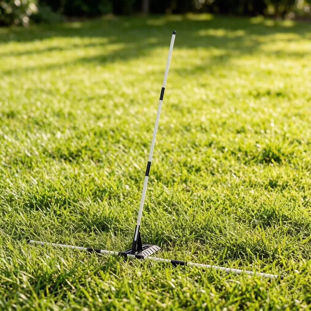 Entraîneur de plan de swing de golf, vue d'ensemble du produit