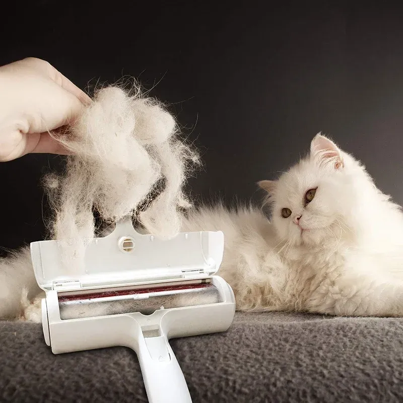 Rouleau à peluches lavable et réutilisable pour animaux de compagnie, outil de nettoyage portable pour vêtements, canapés et meubles 2