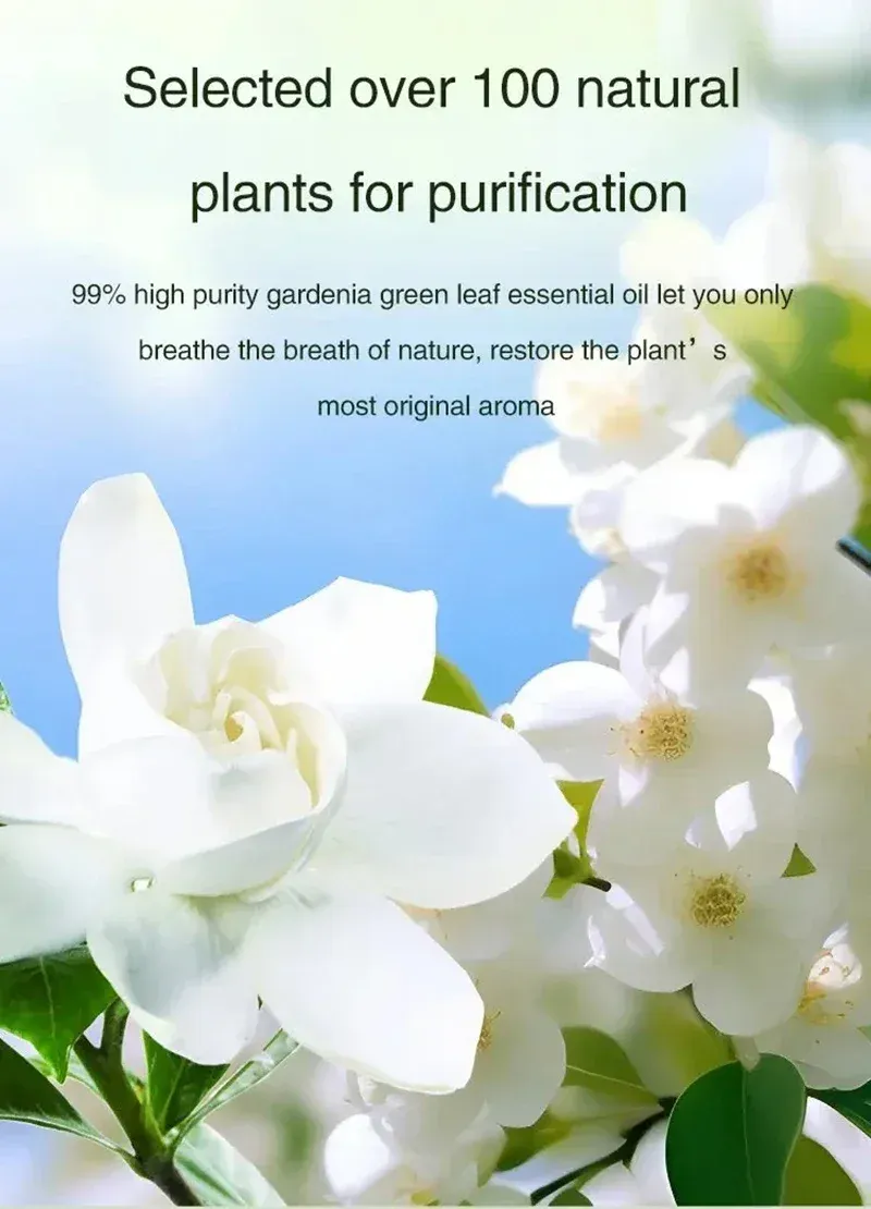 Diffuseur d'huiles essentielles, diffusion du parfum
