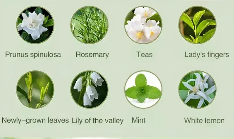 Diffuseur d'huiles essentielles, esthétique intérieure