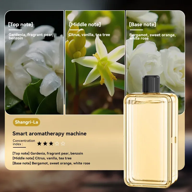 Diffuseur d'huiles essentielles portable à affichage numérique et 5 vitesses de pulvérisation 10