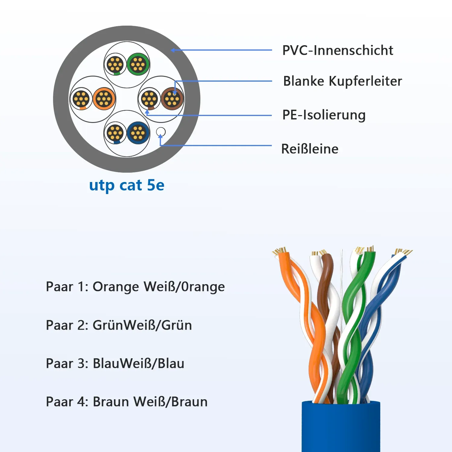 Câble Ethernet UTP avec prise RJ45 bleue, vue de présentation