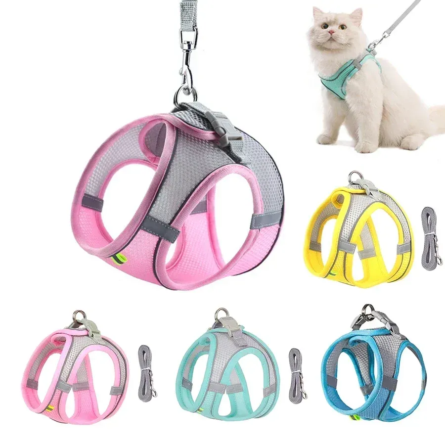 Ensemble harnais et laisse réglable pour petits chiens et chiots, idéal pour la promenade en plein air 2