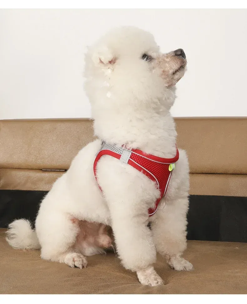 Harnais réglable pour petit chien