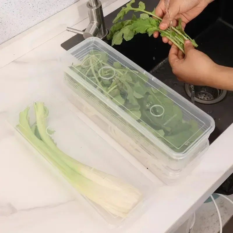 Conservation des herbes fraîches dans une boîte transparente