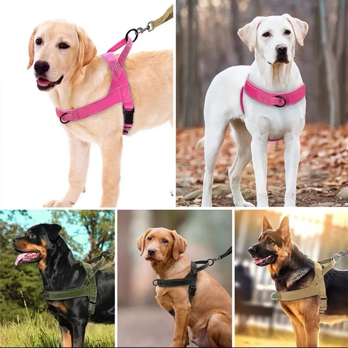 Harnais tactique pour chien de traction, style gilet, pour Golden Retriever 6