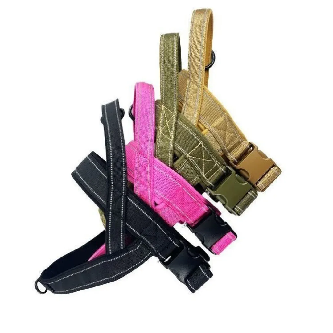 Détail du harnais tactique pour chien