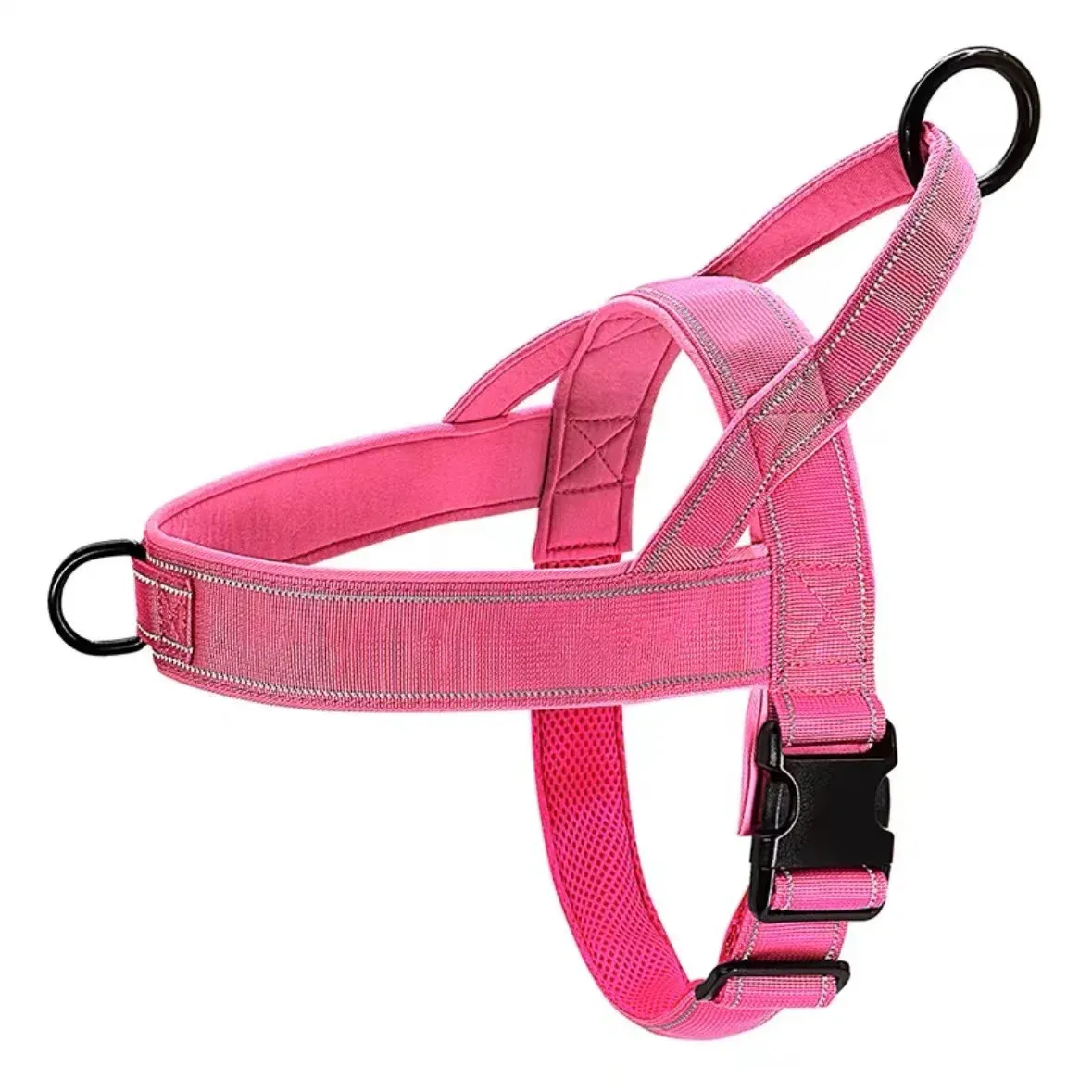 Harnais tactique pour chien, ambiance balade