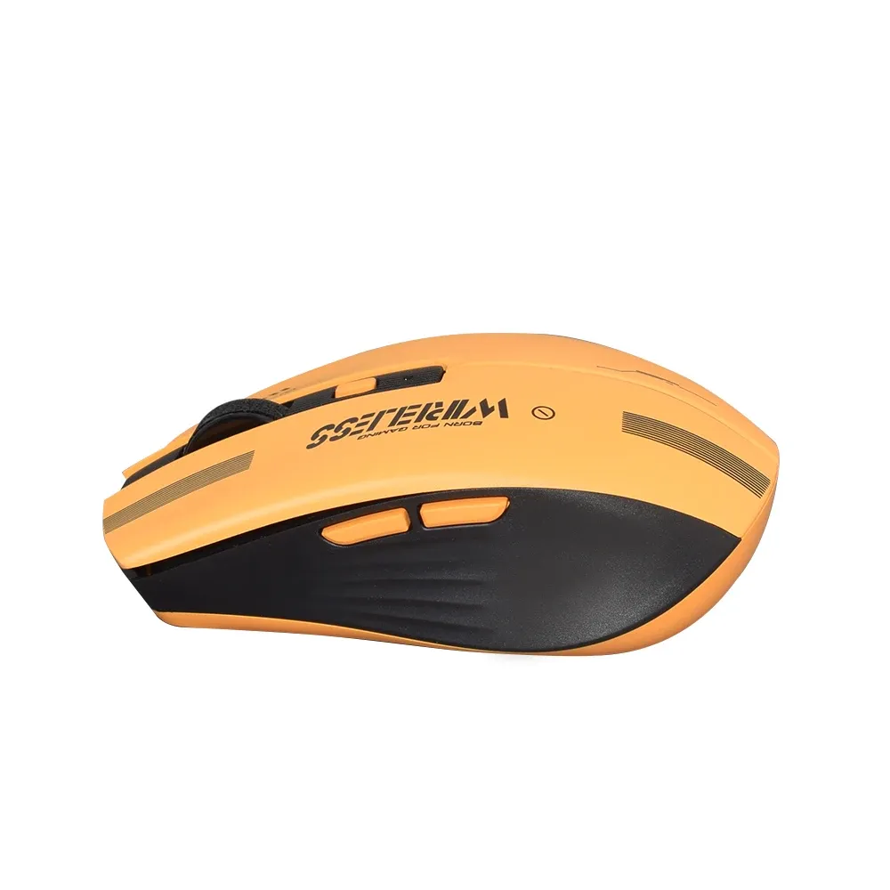 Souris LT-T19, vue finale