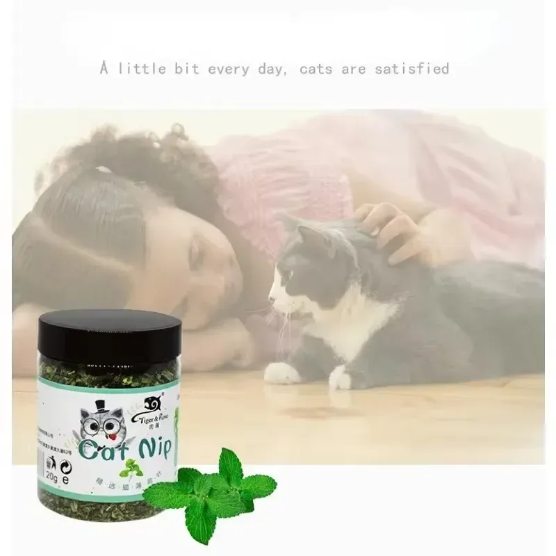 Jouet interactif pour chat à l'herbe à chat biologique 100 % naturelle, saveur menthe, de haute qualité, ludique, accessoire pour animaux de compagnie 2