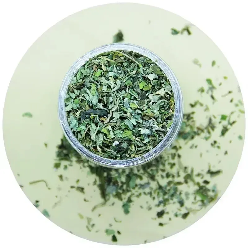 Jouet interactif pour chat à l'herbe à chat biologique 100 % naturelle, saveur menthe, de haute qualité, ludique, accessoire pour animaux de compagnie 3
