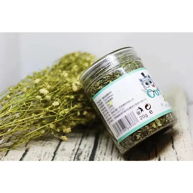 Herbe à chat biologique saveur menthe, détail du produit