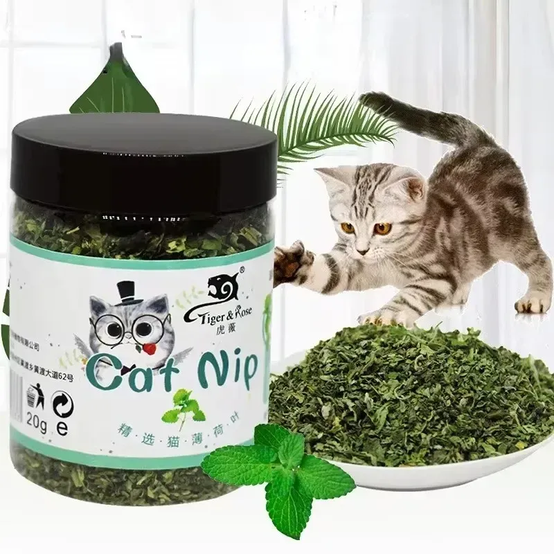 Herbe à chat biologique saveur menthe, vue détaillée