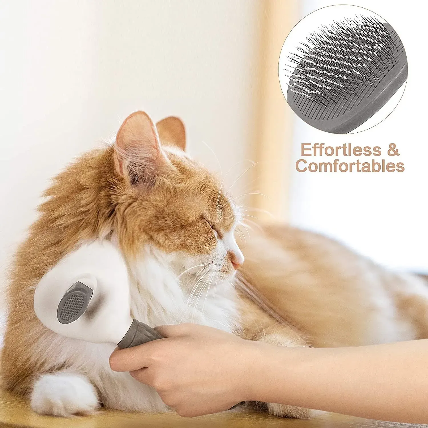 Brosse pour animaux de compagnie, vue de détail