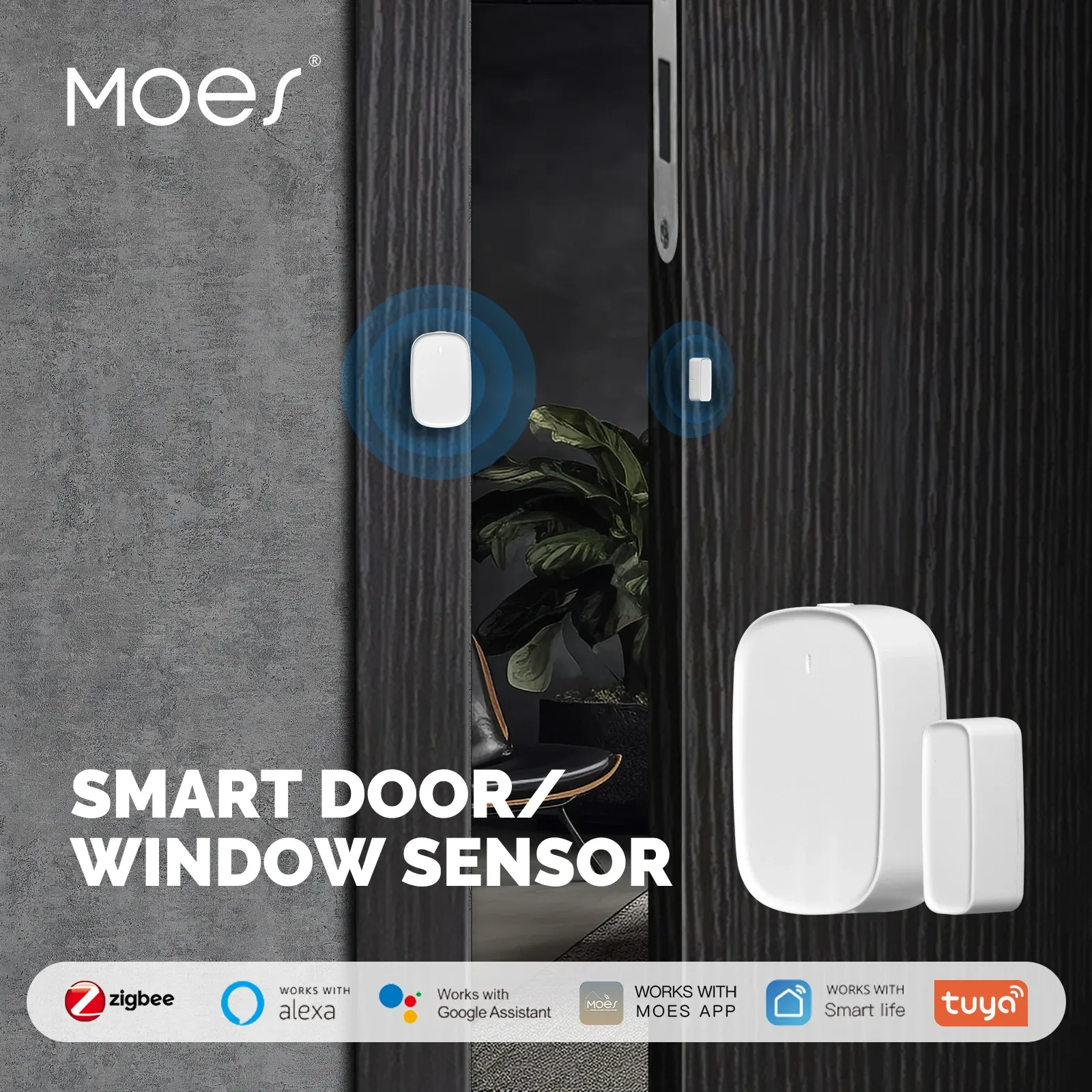 Vue détaillée du capteur de porte et fenêtre intelligent