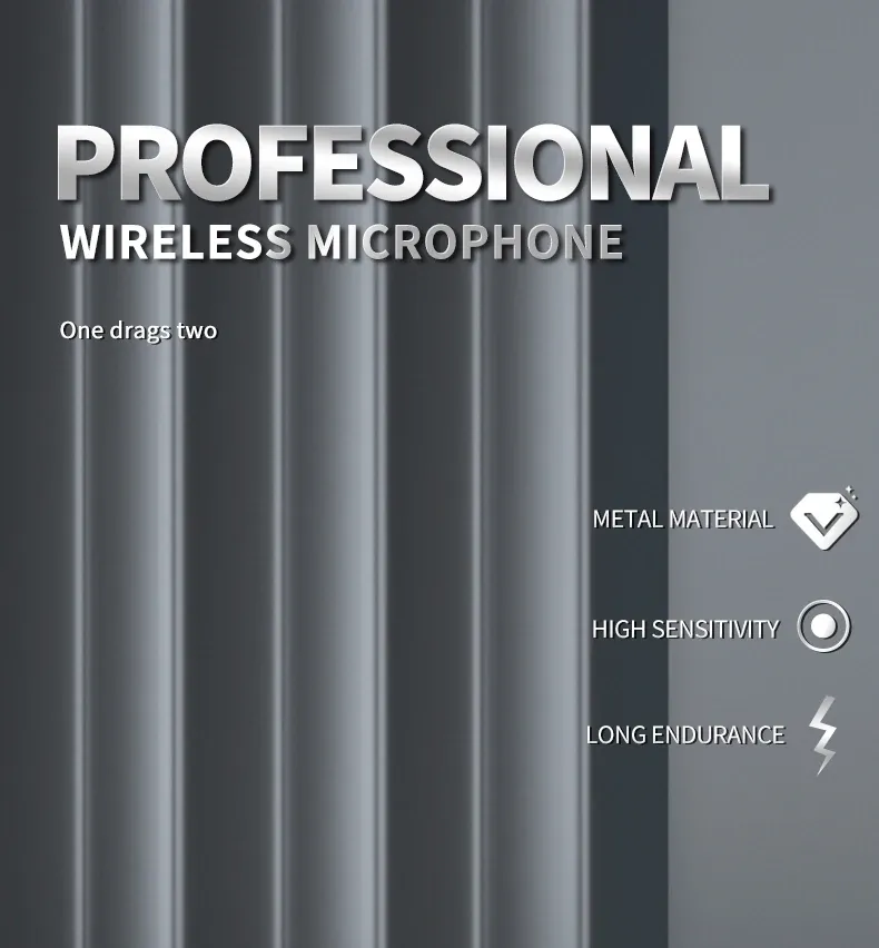 Microphone sans fil portatif à double canal, vue d'ensemble