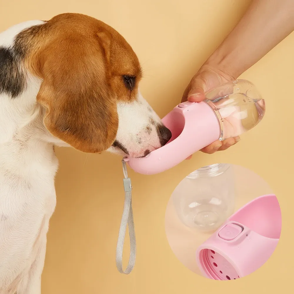 Bouteille d'eau étanche pour animaux de compagnie, bol d'alimentation pour chiens et chats, idéale pour le voyage et le plein air 5