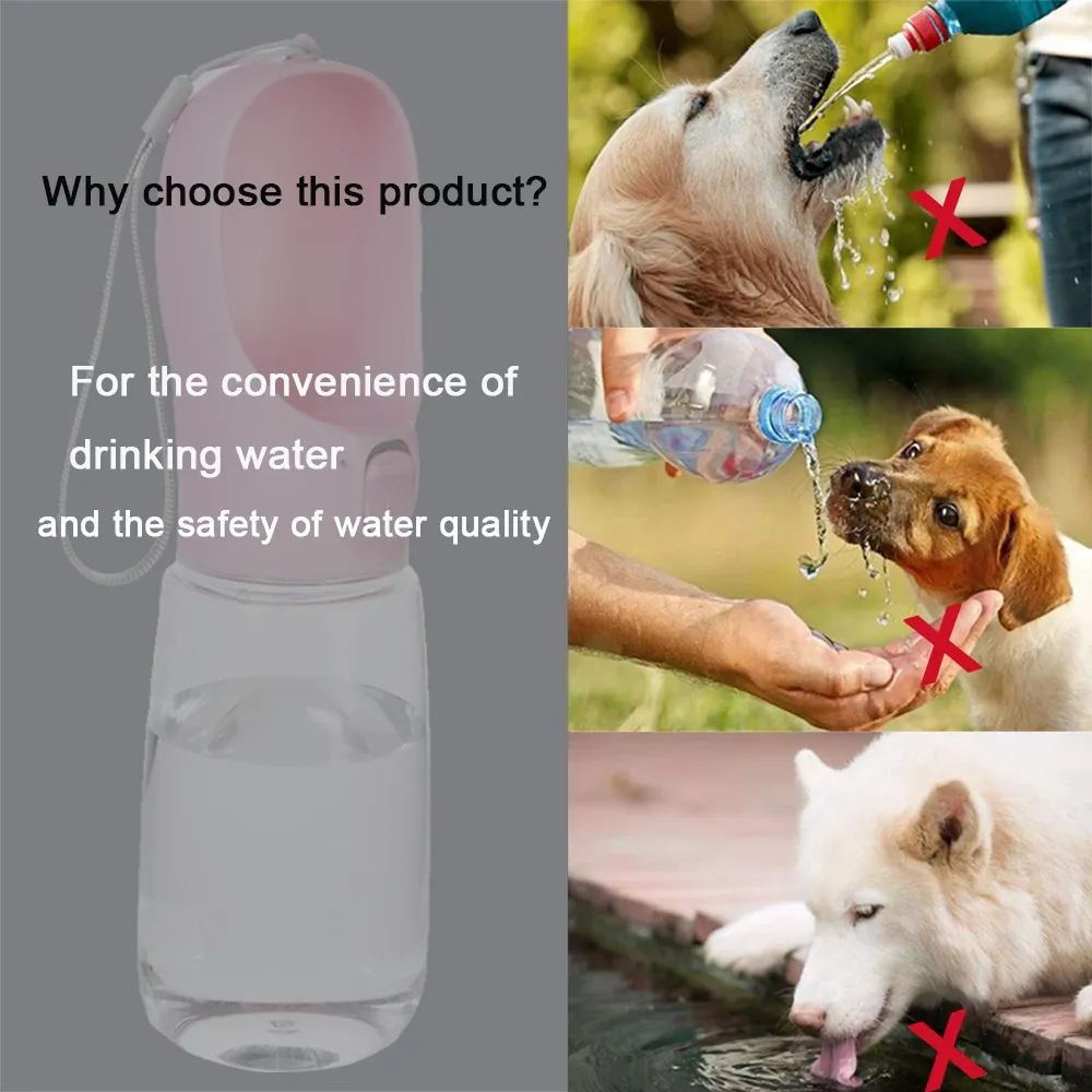 Bouteille d'eau pour chien en balade en extérieur
