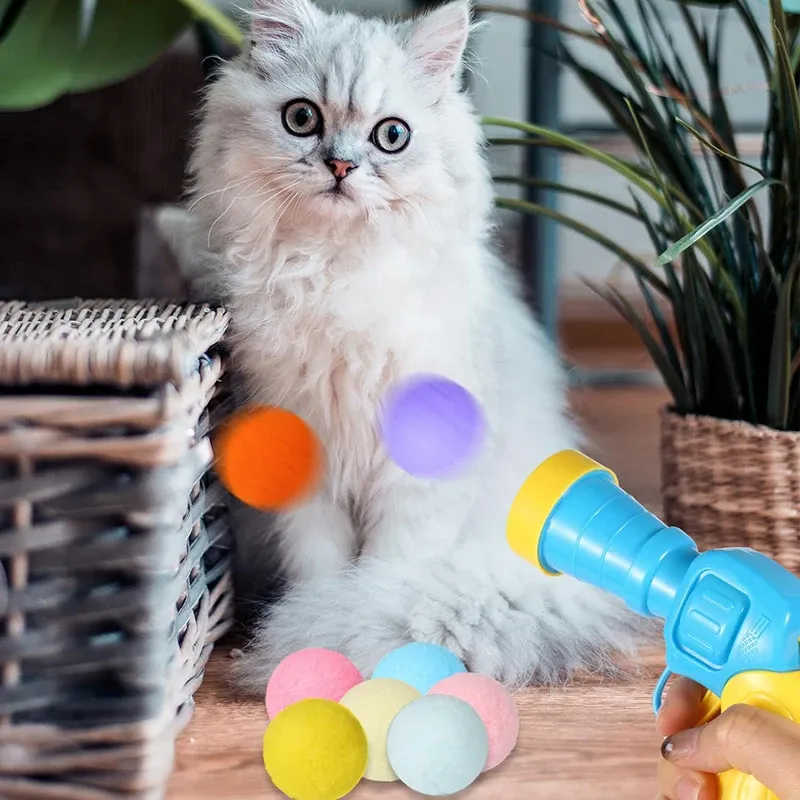 Chat jouant avec un lanceur interactif