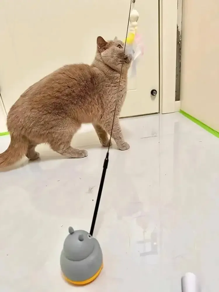 Jouet interactif rotatif pour chat